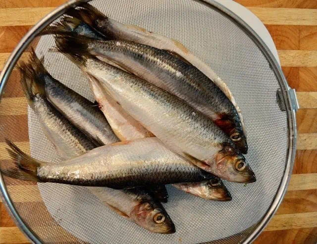 Rosemary grilled herring