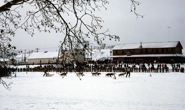 Sled dog racing along the Yukon River in a Rendezvous of yore.