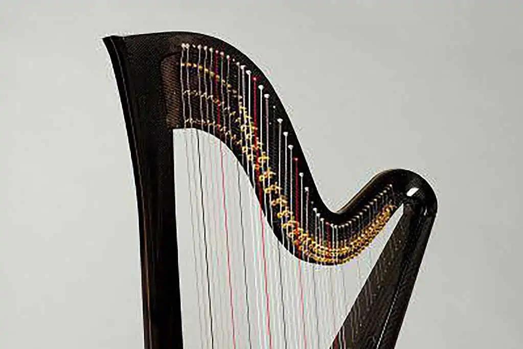 Yukon Harpists Society: A New Sound in The Yukon