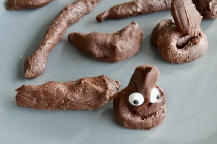 Chocolate “Poops”