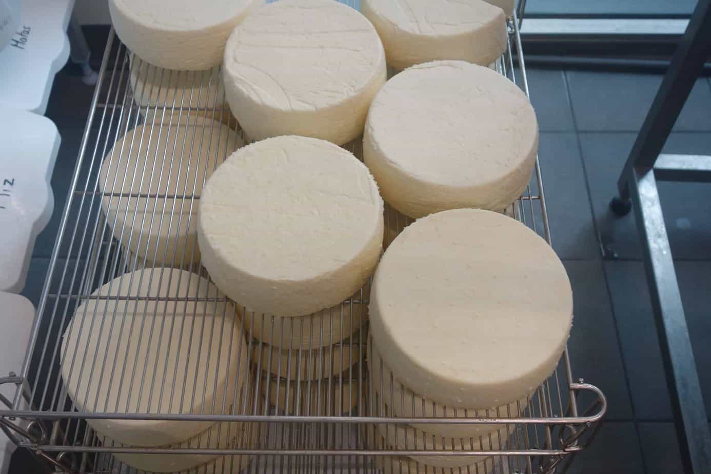 The tomme, a mountain-style cheese