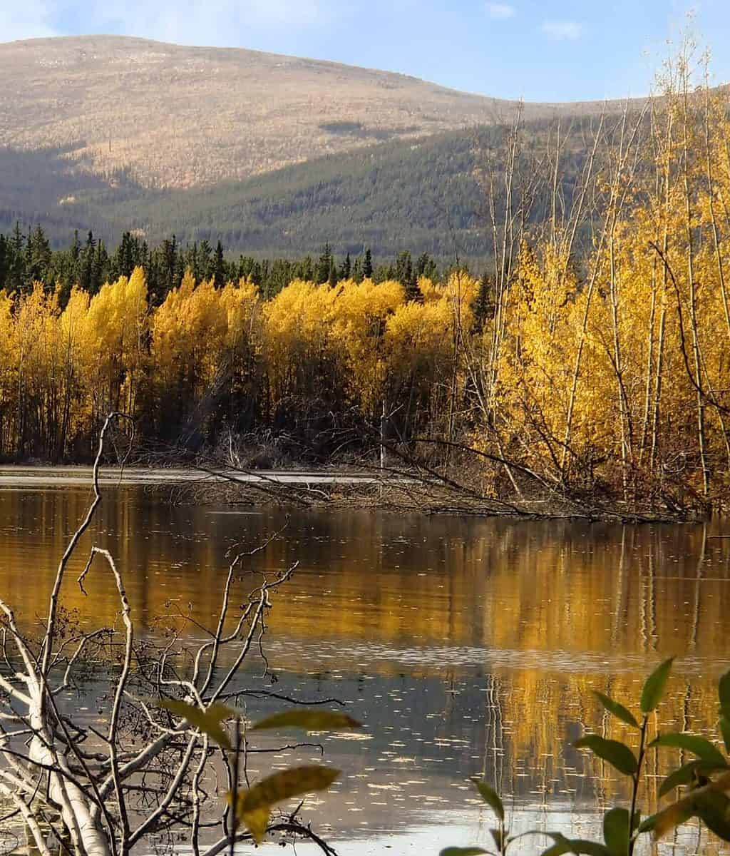 A lake reflecting Autumn colours in the Yukon