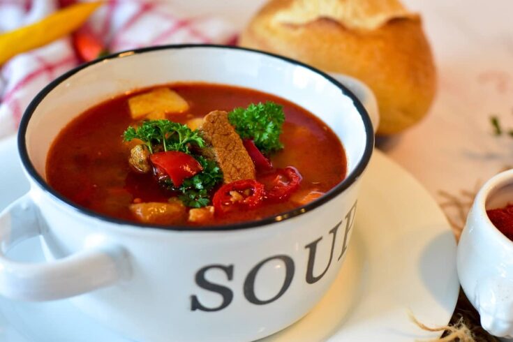 Bison soup