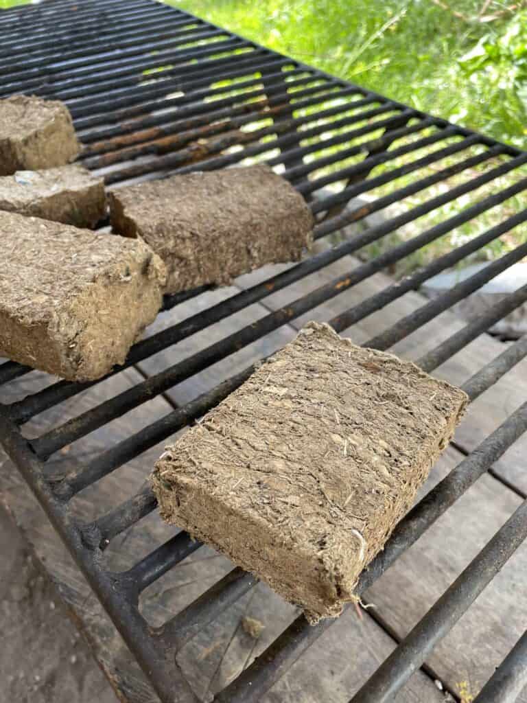 Horse dung compressed into bricks