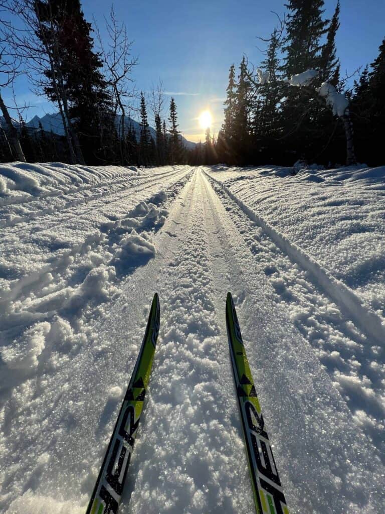 Skiing on the Mush Lake Road Ski Trail