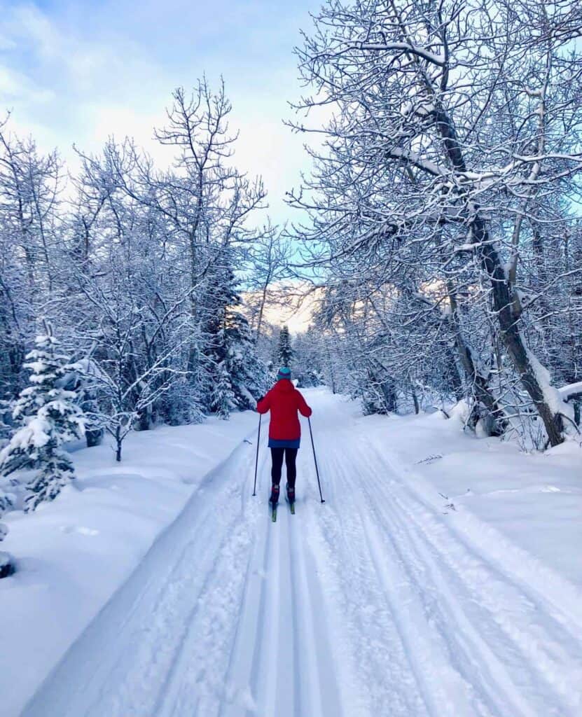 The Mush Lake Road Ski Trail