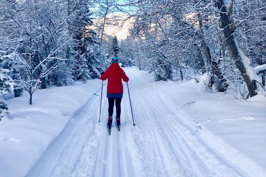 The Mush Lake Road Ski Trail