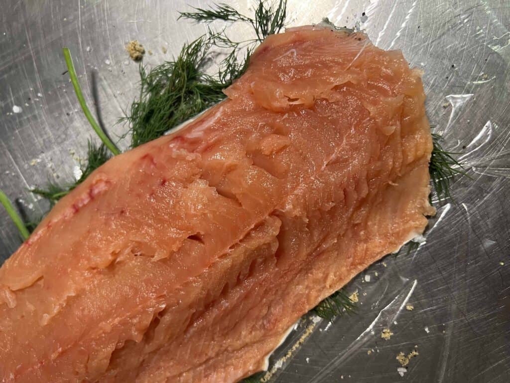 Salmon on dill