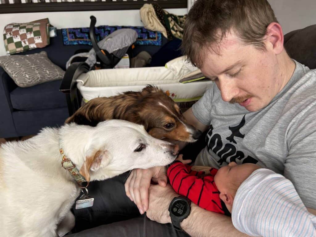 dad and baby and dogs