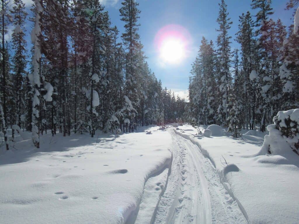 trapper's trail in February