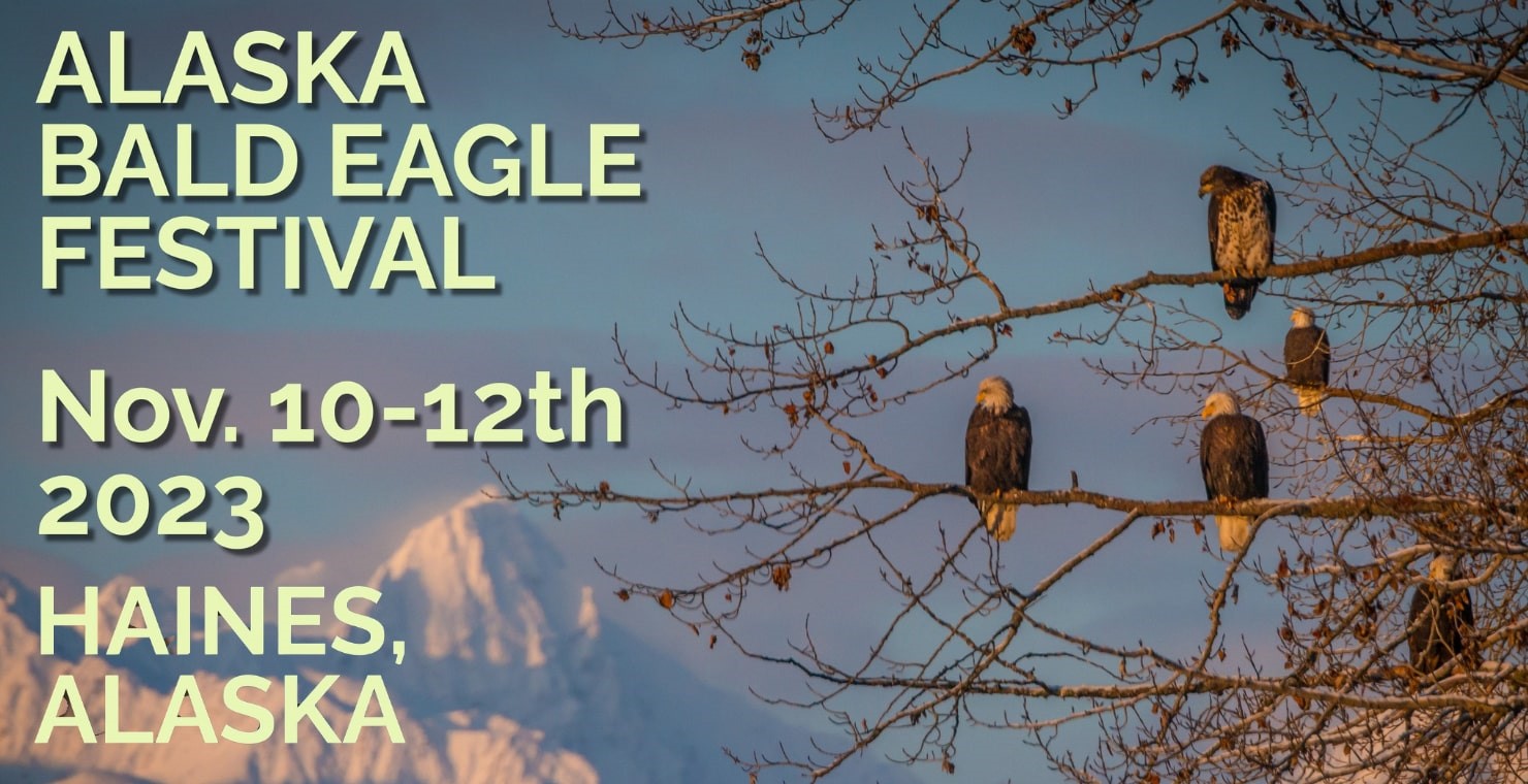 Alaska Bald Eagle Festival 2023