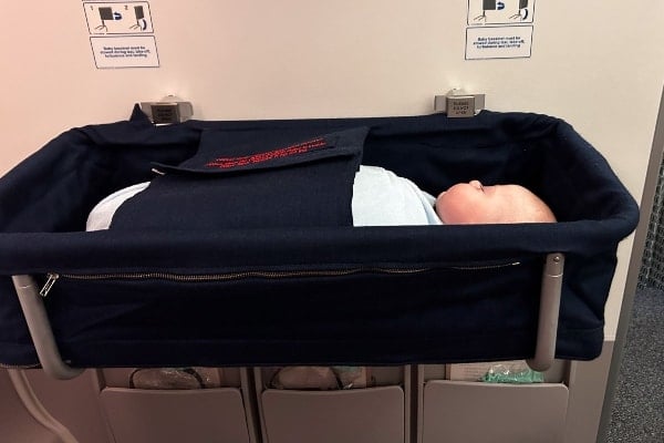 Maverick in his travel bassinet
