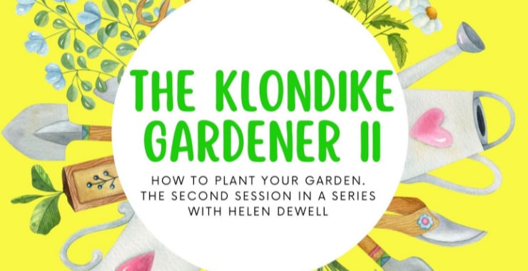 The Klondike Gardener II
