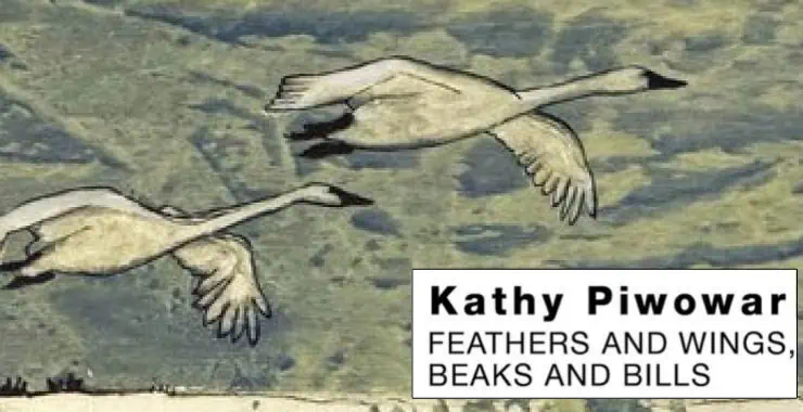 Feathers and Wings Beaks and Bills by Kathy Piwowar