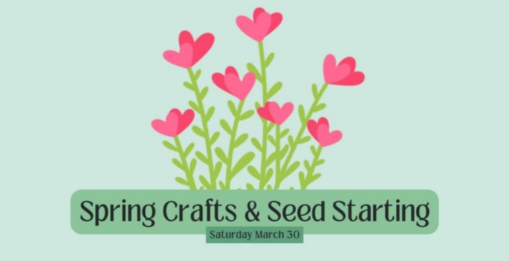 Spring Crafts & Seed Starting