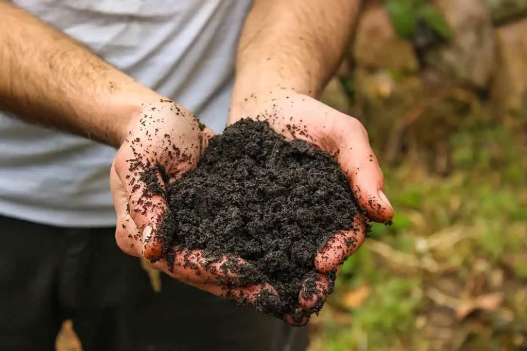Fertilizer made from human feces