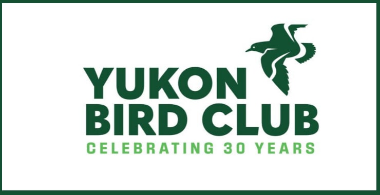 Yukon Bird Club